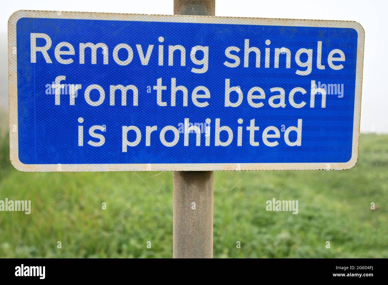 Blau-weißes Schild mit Text: Das Entfernen von Kiesel vom Strand ist verboten. Isoliert mit verschwommenem Hintergrund von Gras und neblig weißem Himmel. Stockfoto