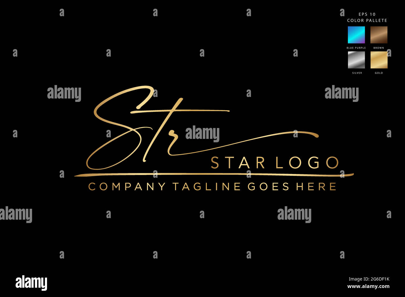 Signature Logo Design Kombination Buchstaben S T r Schönheit Monogramm