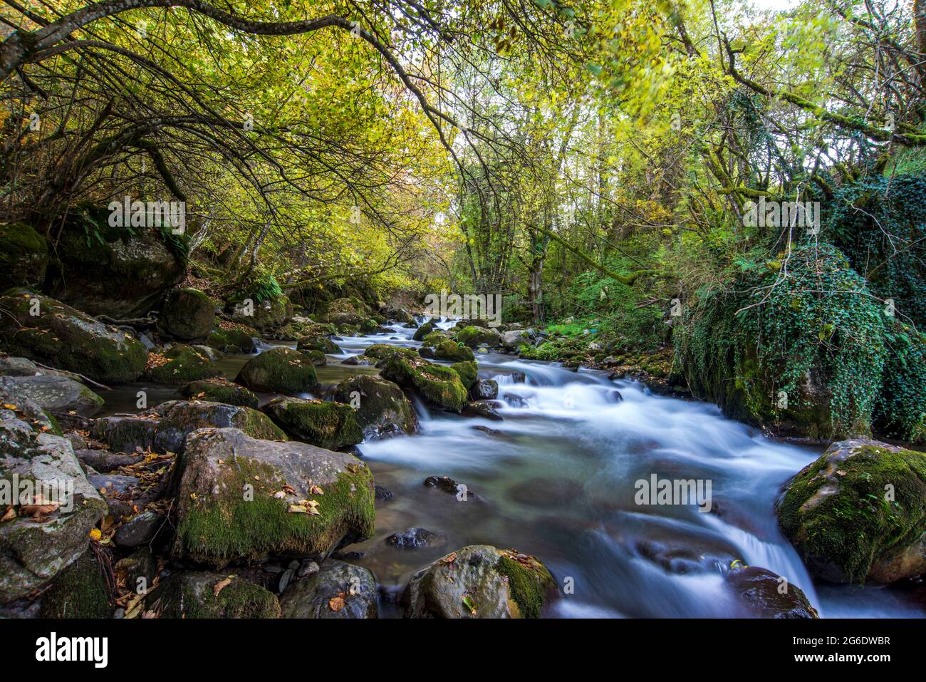 Langandauerndes, glatt fließendes Wasser über Felsen im Wald Stockfoto