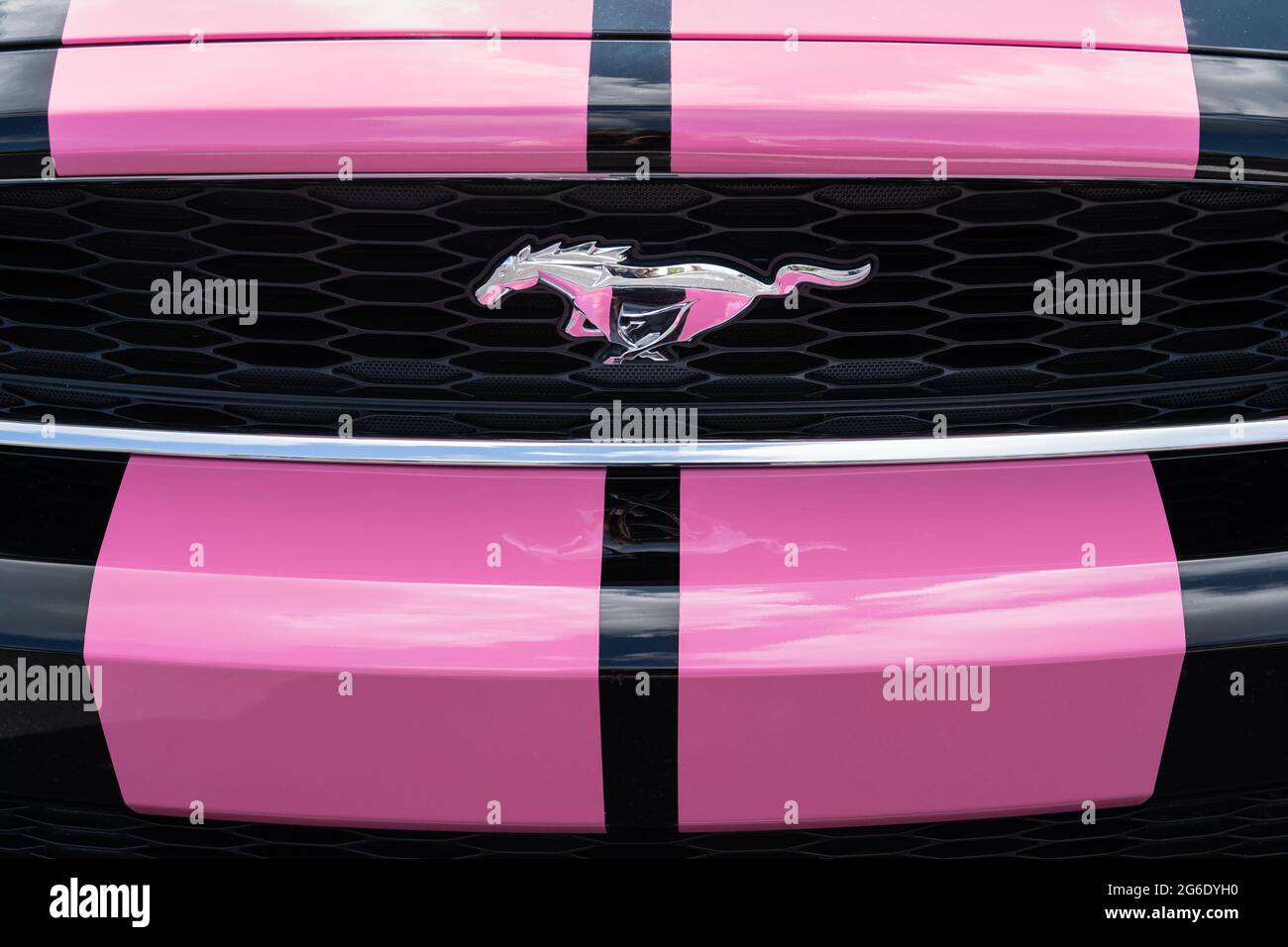 Eureka Springs, AR - 11. Juni 2021: Das Ford Mustang Running Pony Emblem befindet sich auf dem Grill eines schwarzen Autos mit breiten rosa Streifen. Stockfoto