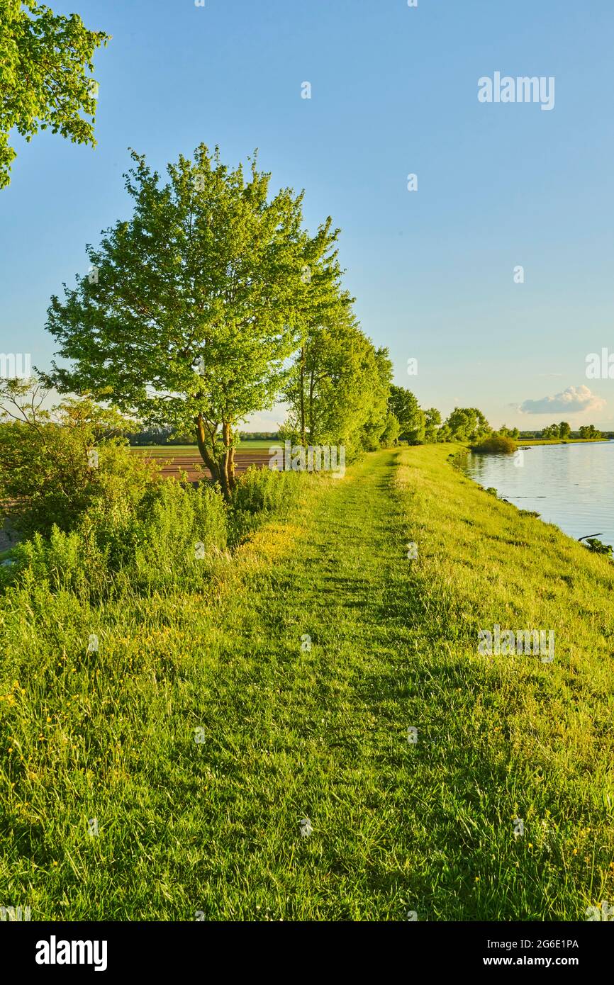 Wanderweg neben der Donau im Frühling am Abend bei Kiefenholz, Vorderer Bayerischer Wald, Oberpfalz, Bayern, Deutschland Stockfoto