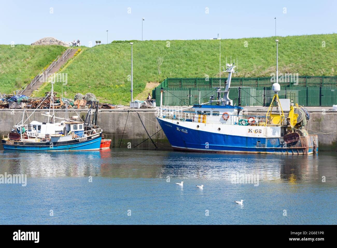 Fischerboote liegen in Eyemouth Harbour, Eyemouth, Scottish Borders, Scotland, Vereinigtes Königreich Stockfoto