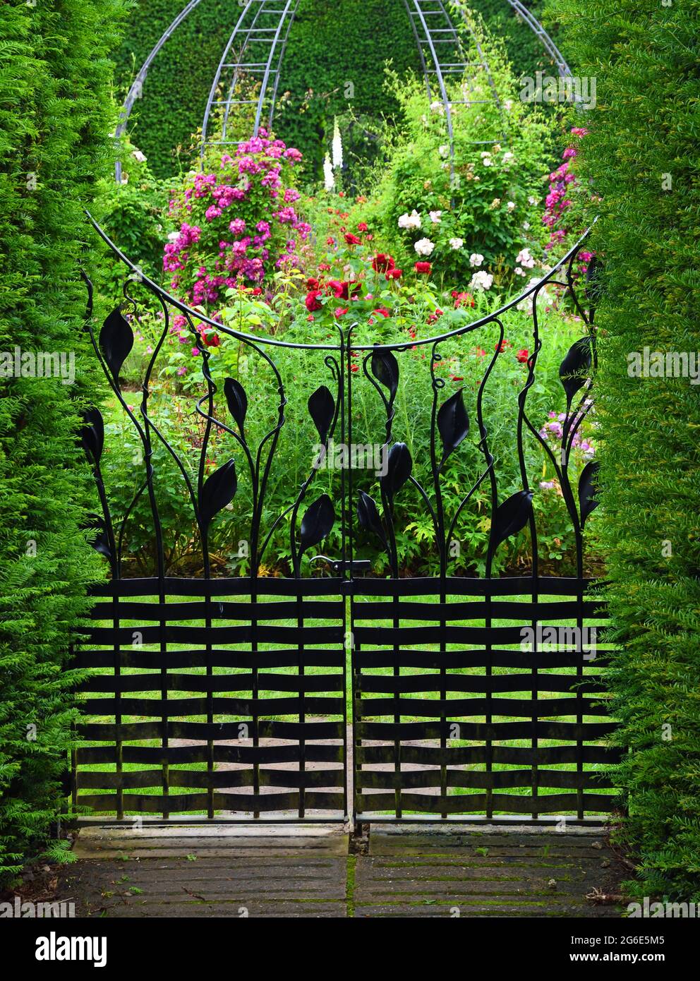 Schönes Iron Garden Gate mit Hecke und blühenden Pflanzen. Stockfoto