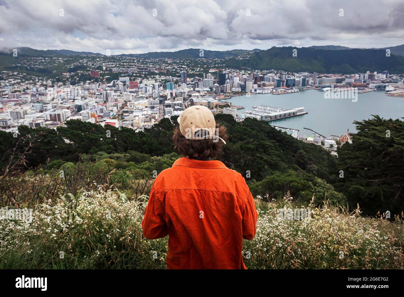 Typ vor Wellington City, Te Whanganui-a-Tara, Wellington City, Wellington, Nordinsel, Neuseeland Stockfoto