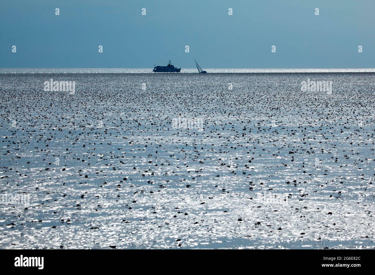 Wattenmeer in der Nordsee, Büsum, Schleswig-Holstein, Ostfriesland, Deutschland Stockfoto