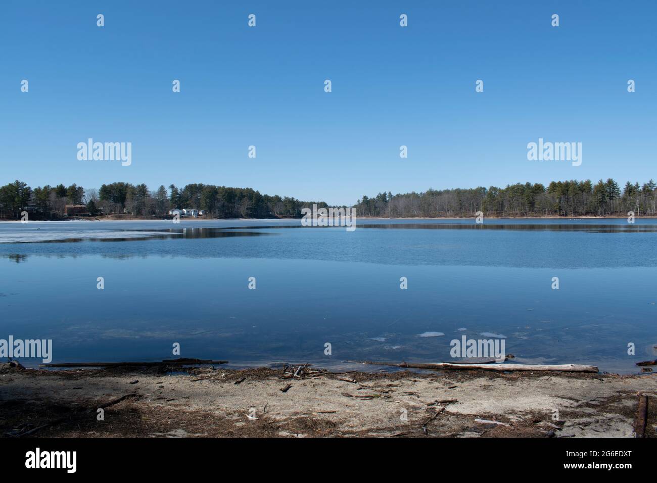 Willand Pond Stockfoto