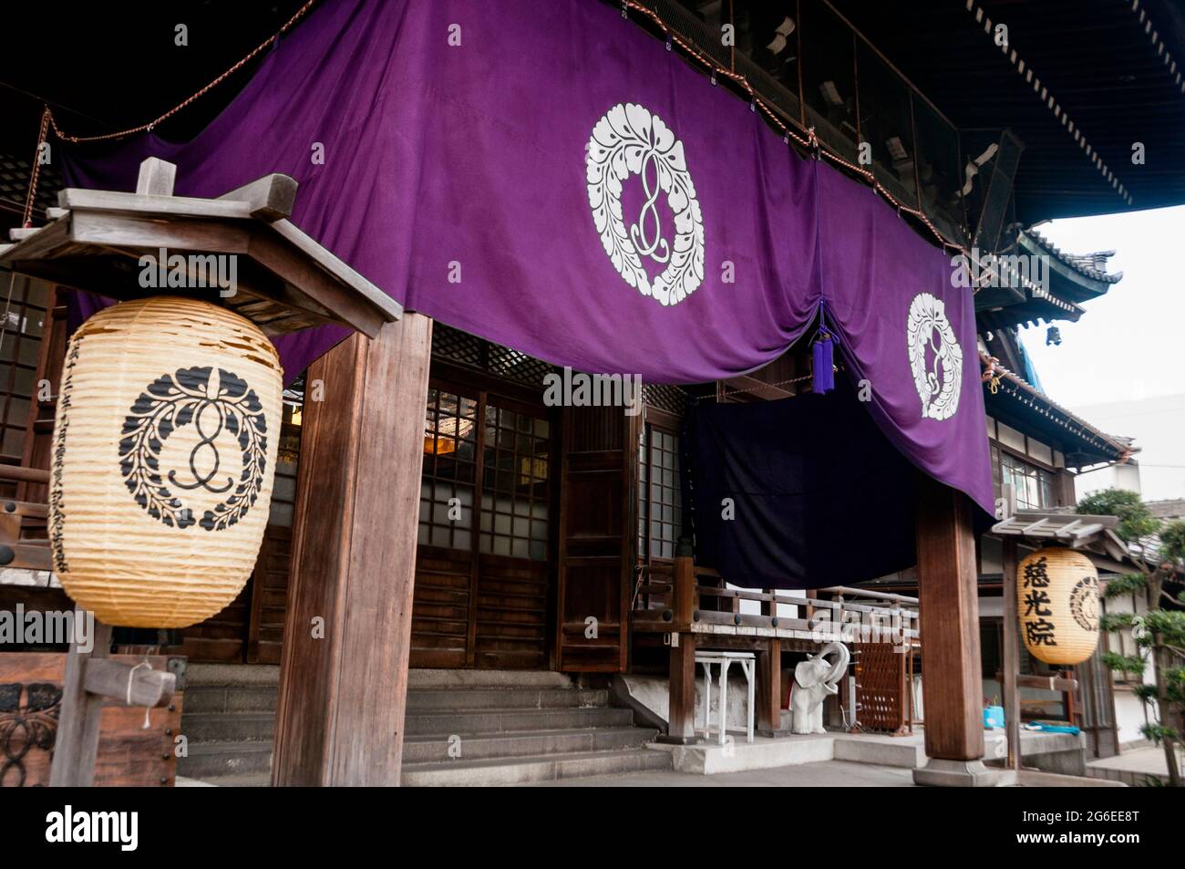 Buddhistischer Tempel in Tokio mit einem lila norenfarbenen Vorhang und Laternen in Japan. Stockfoto