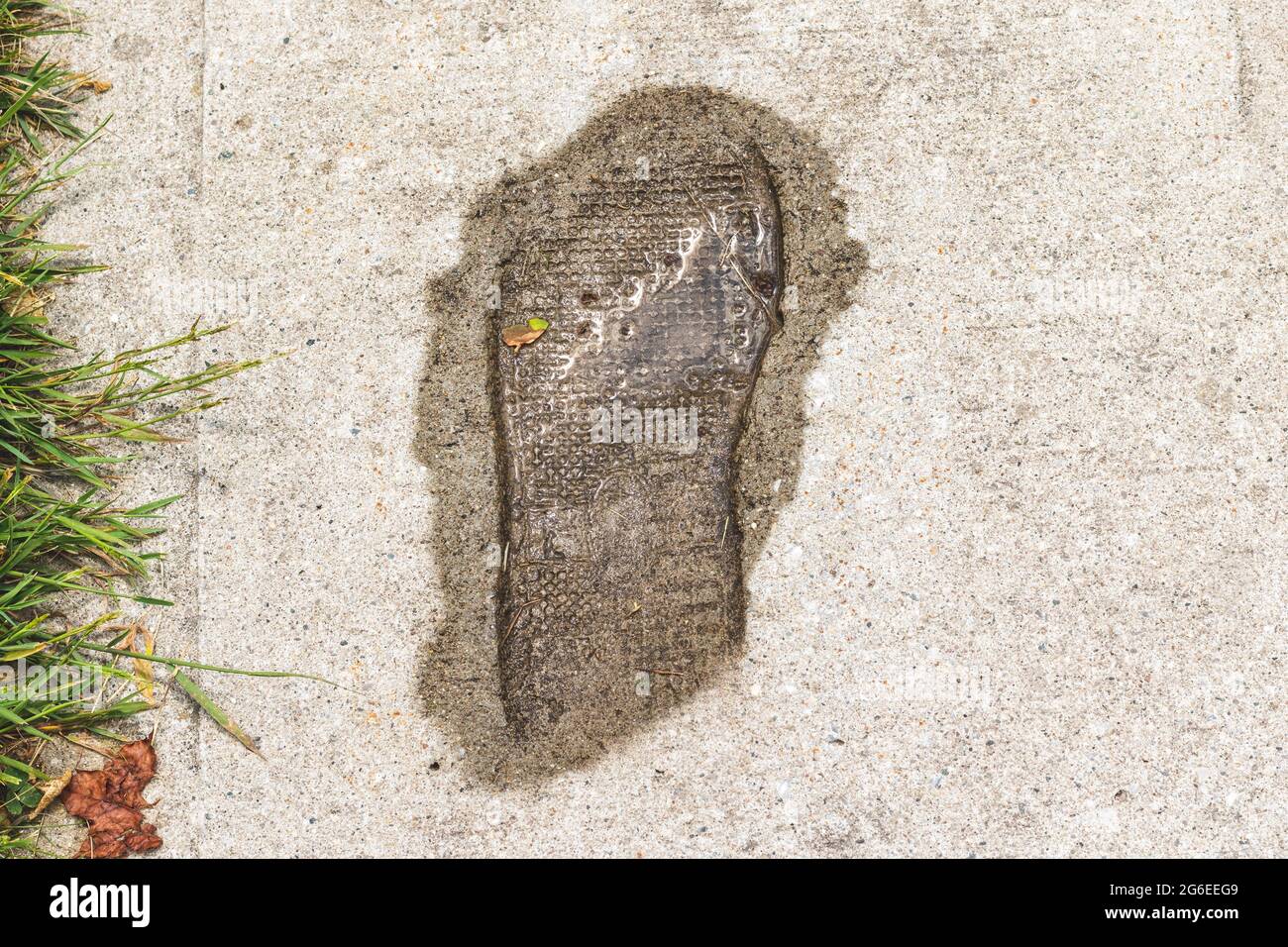 Der Schuhdruck ist in Zement eingeprägt, nass vom Regen gefärbt, mit einem kleinen Wasserbecken darin. Gras auf der Seite des gepflasterten Gehwegs. Stockfoto