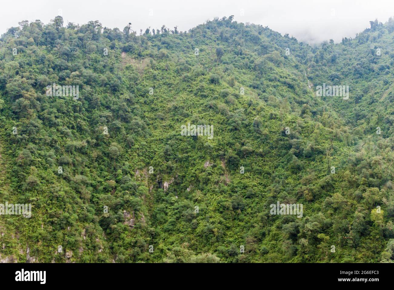 Berge bedeckt mit einem üppigen Wald in der Nähe von San Miguel de Tucuman, Argentinien Stockfoto