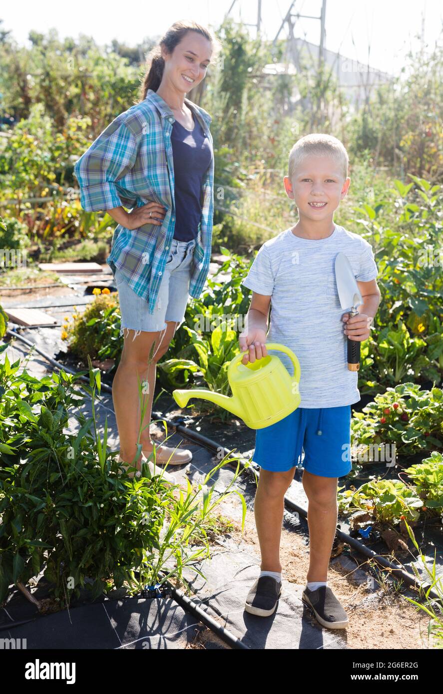 Fröhlicher Junge hilft, Gemüse im Garten zu gießen Stockfoto