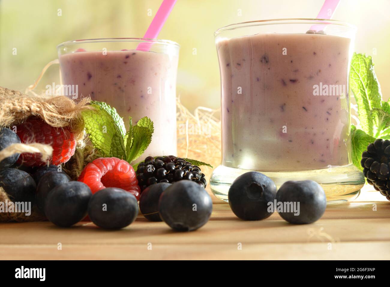 Waldbeerjoghurt Smoothie in Gläsern auf Holztisch mit Sack voller Heidelbeeren, Brombeeren Himbeeren mit grünem Waldhintergrund Klo Stockfoto