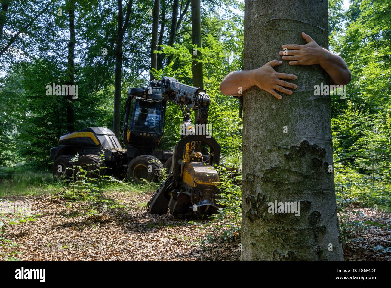 Mann umarmt einen Baum, um ihn vor dem Abschneiden zu schützen. Stockfoto