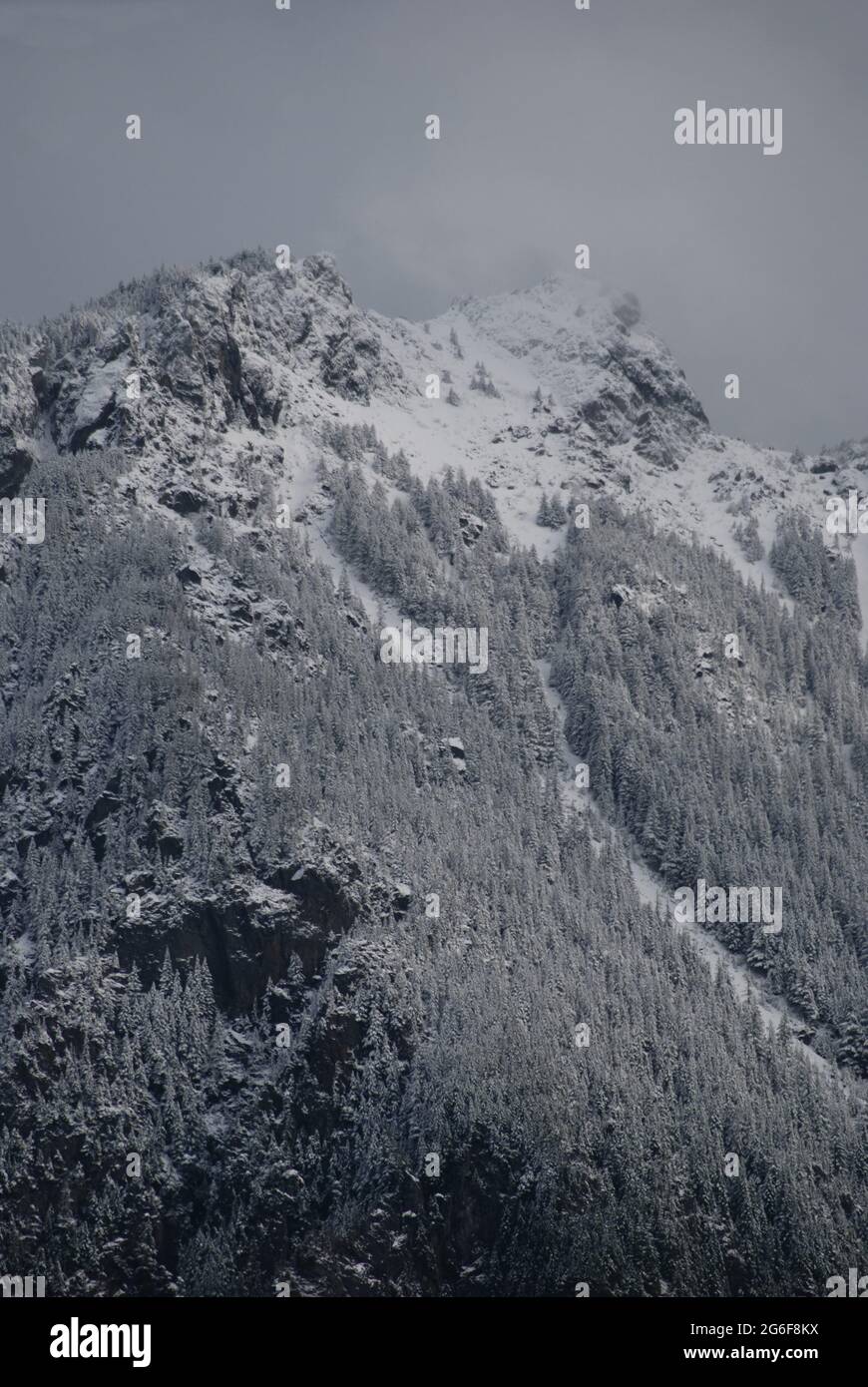 Winterschneit auf Mt. Si Stockfoto