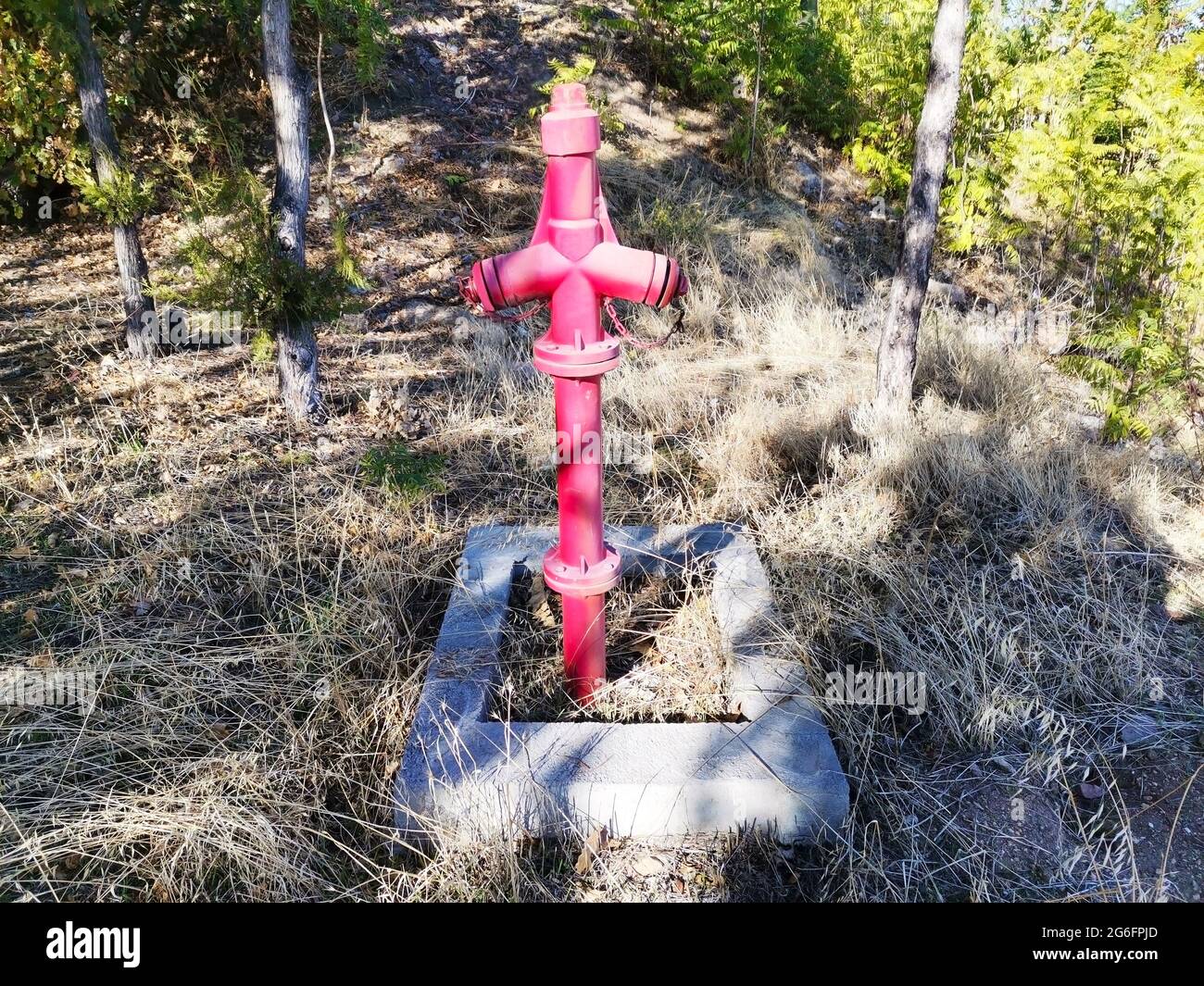 Feuerlöschung. Rotes Löschventil Brandschutz. Feuerlöscher im Garten. Stockfoto