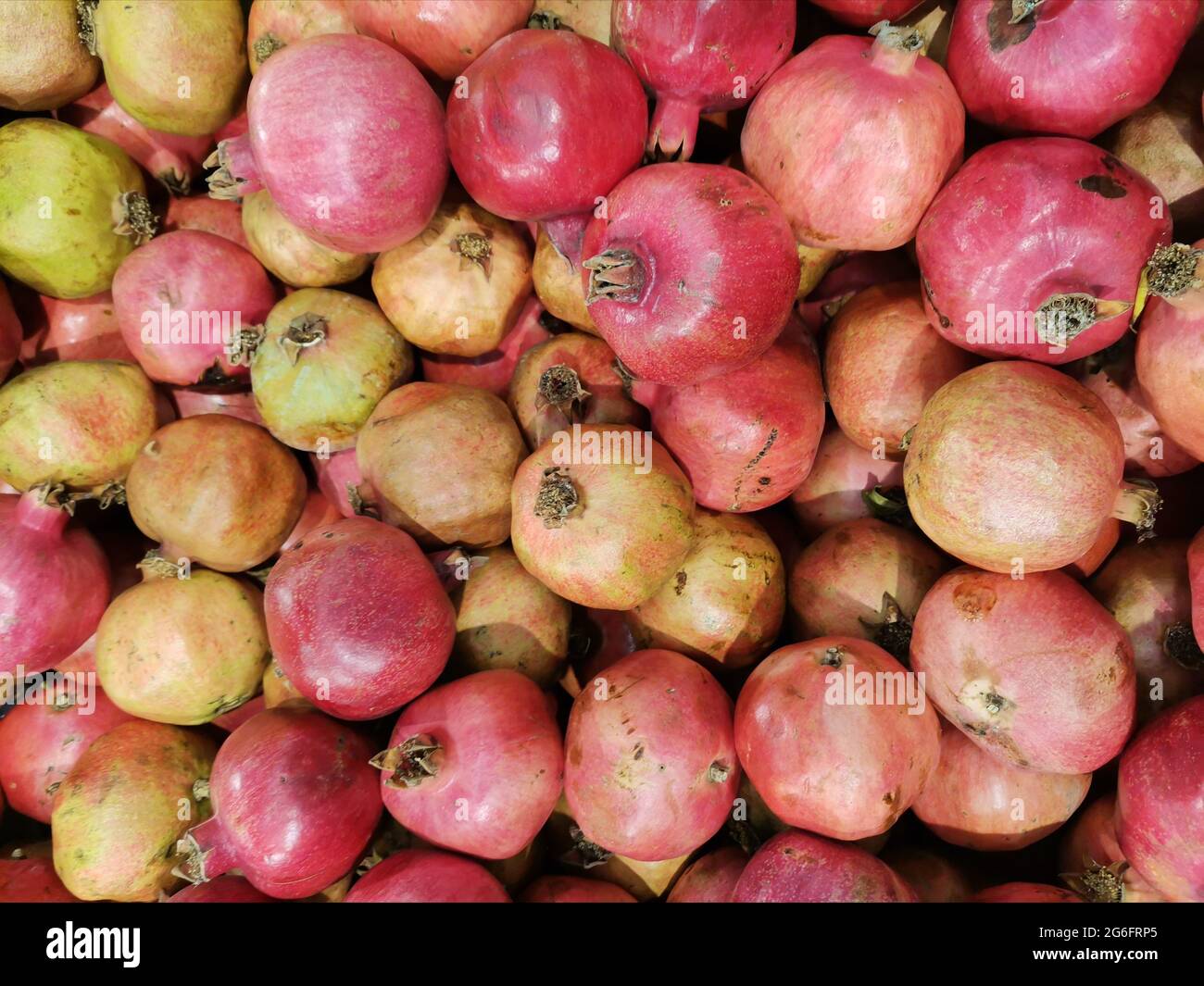 Supermarkt Granatapfel Obst, das sieht gut aus Stockfoto