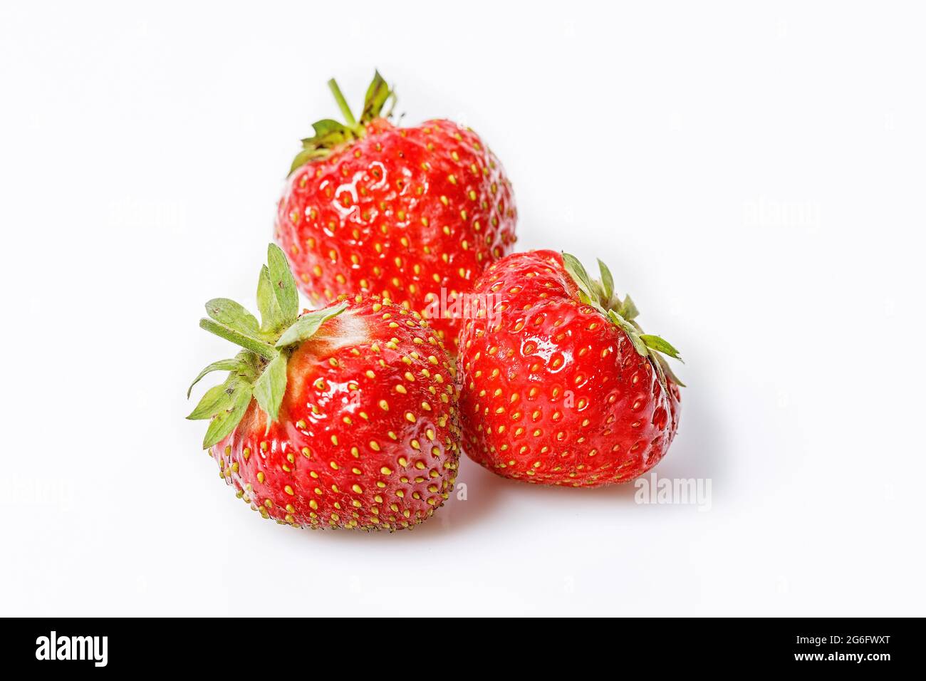 Reife Erdbeeren auf weißem Hintergrund. Süße rote, saftige Erdbeeren. Bio-Lebensmittel. Speicherplatz kopieren. Nahaufnahme. Saisonale antioxidative und Detox Nährstoff in Stockfoto