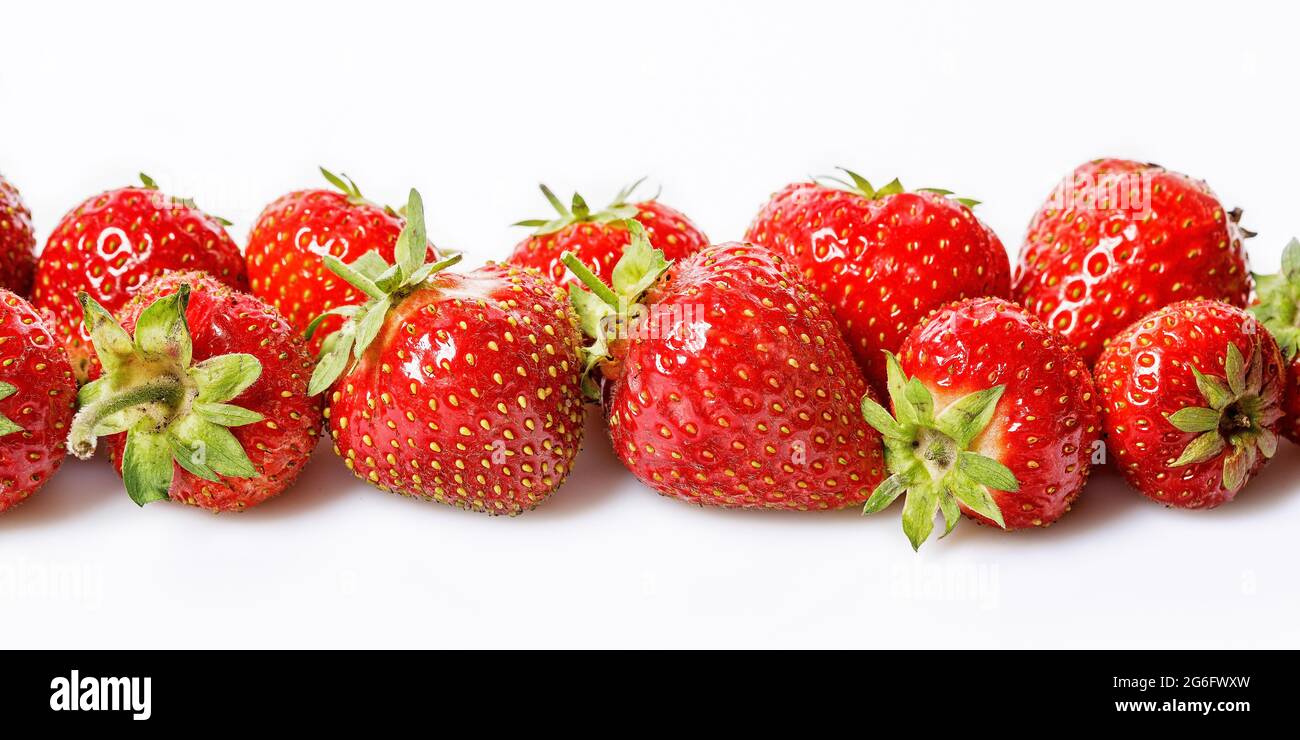 Lebensmittelbanner. Gruppe von süßen reifen Erdbeeren auf weißem Hintergrund. Saftige und leckere Erdbeeren. Bio-Lebensmittel für Bauern. Nahaufnahme. Saisonales Antioxidans Stockfoto