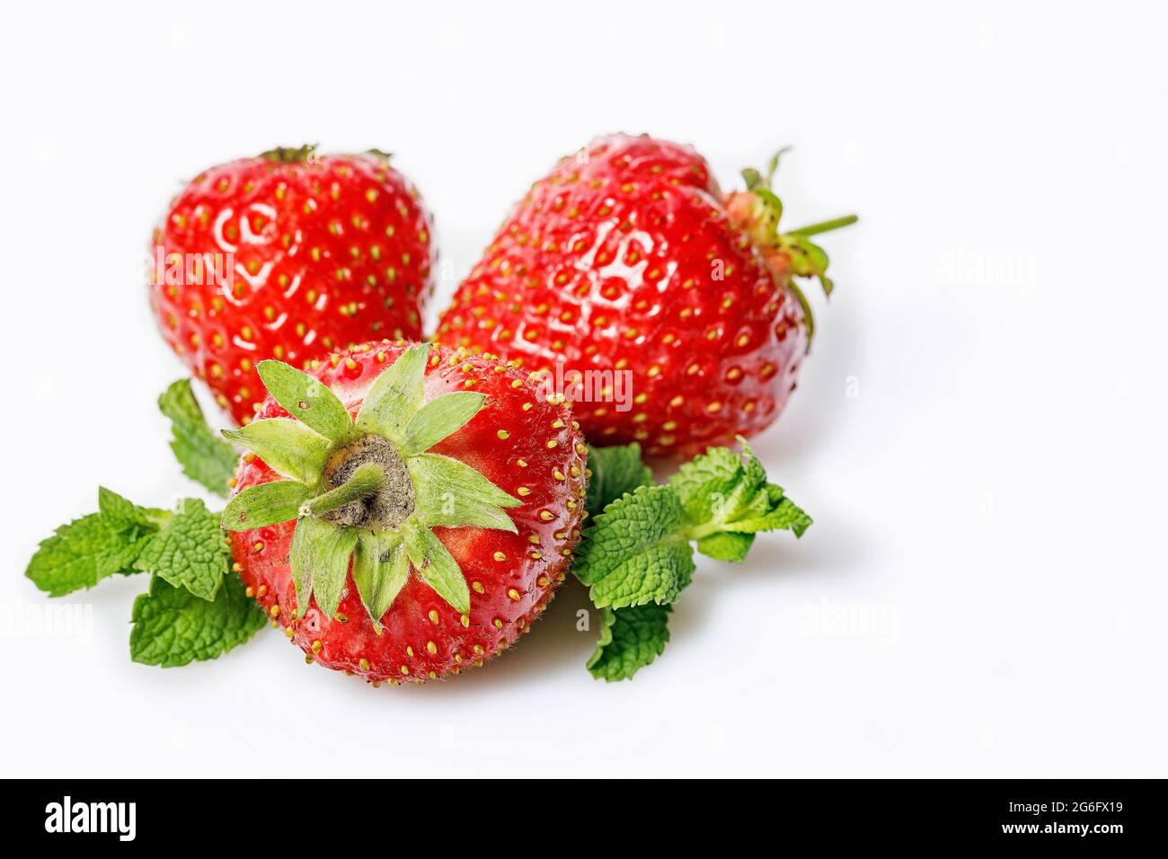 Reife Erdbeeren und frische Minze auf weißem Hintergrund. Süße, saftige Erdbeeren und Minzblätter. Bio fettfreie, kalorienarme Lebensmittel. Nahaufnahme. Kopie en Stockfoto