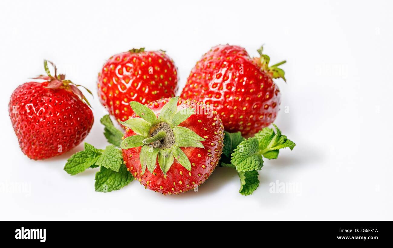 Lebensmittelbanner. Reife Erdbeeren und frische Minze auf weißem Hintergrund. Süße, saftige Erdbeeren und Minzblätter. Speicherplatz kopieren. Saisonales Antioxidans und De Stockfoto