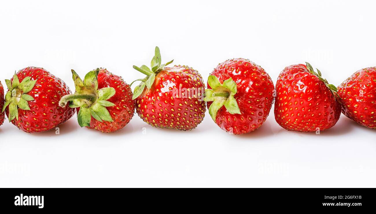 Bannerformat für Lebensmittel. Süße reife Erdbeeren auf weißem Hintergrund. Saftige und leckere Erdbeeren. Bio-Lebensmittel für Bauern. Speicherplatz kopieren. Fettfrei, Cholesterin Stockfoto