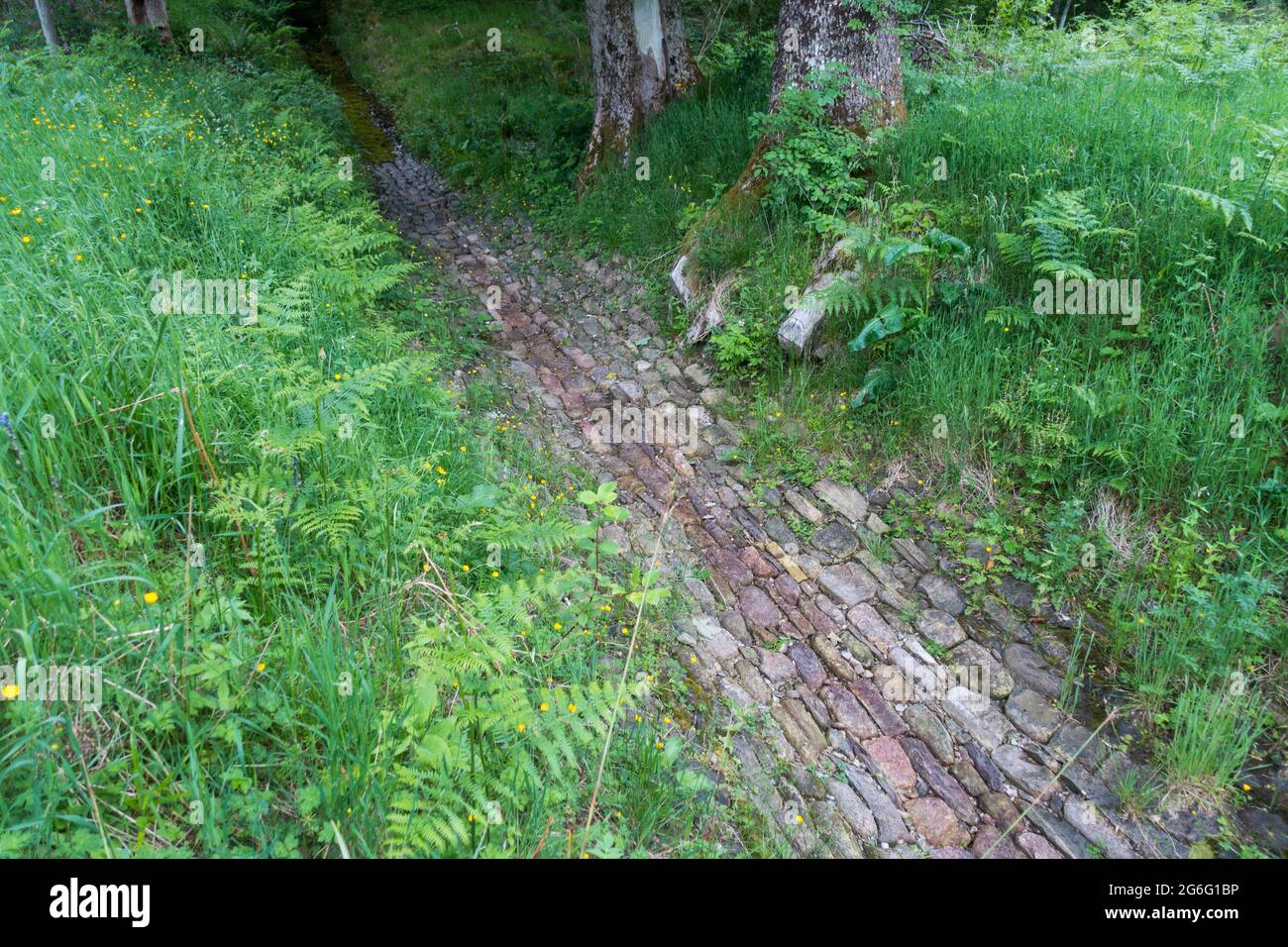 Der uralte Mann hat einen Wasserkanal hergestellt, um den Wasserfluss vom Hügel, den schottischen Highlands, Schottland, Großbritannien, zu unterstützen. Stockfoto