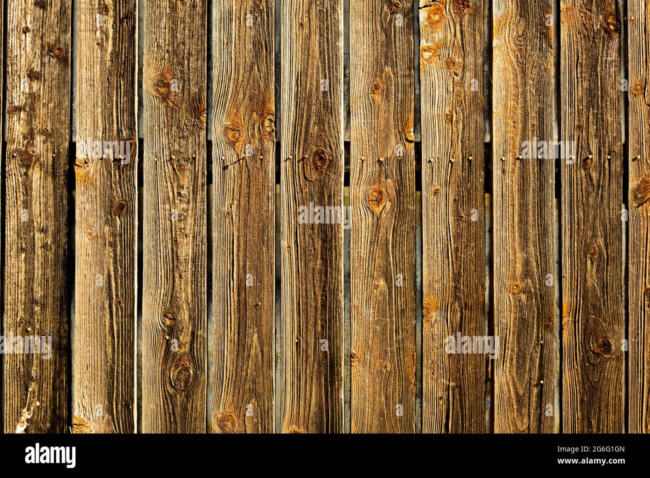Naturholz Strukturtapete, Holzhintergrund, Wand Stockfoto