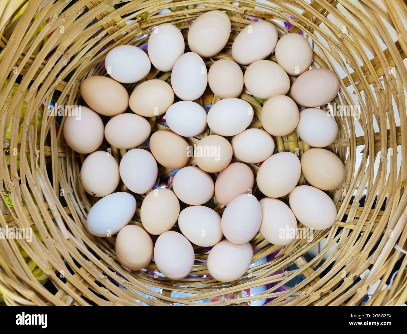 Bio-Eier in einem Korb. Stockfoto