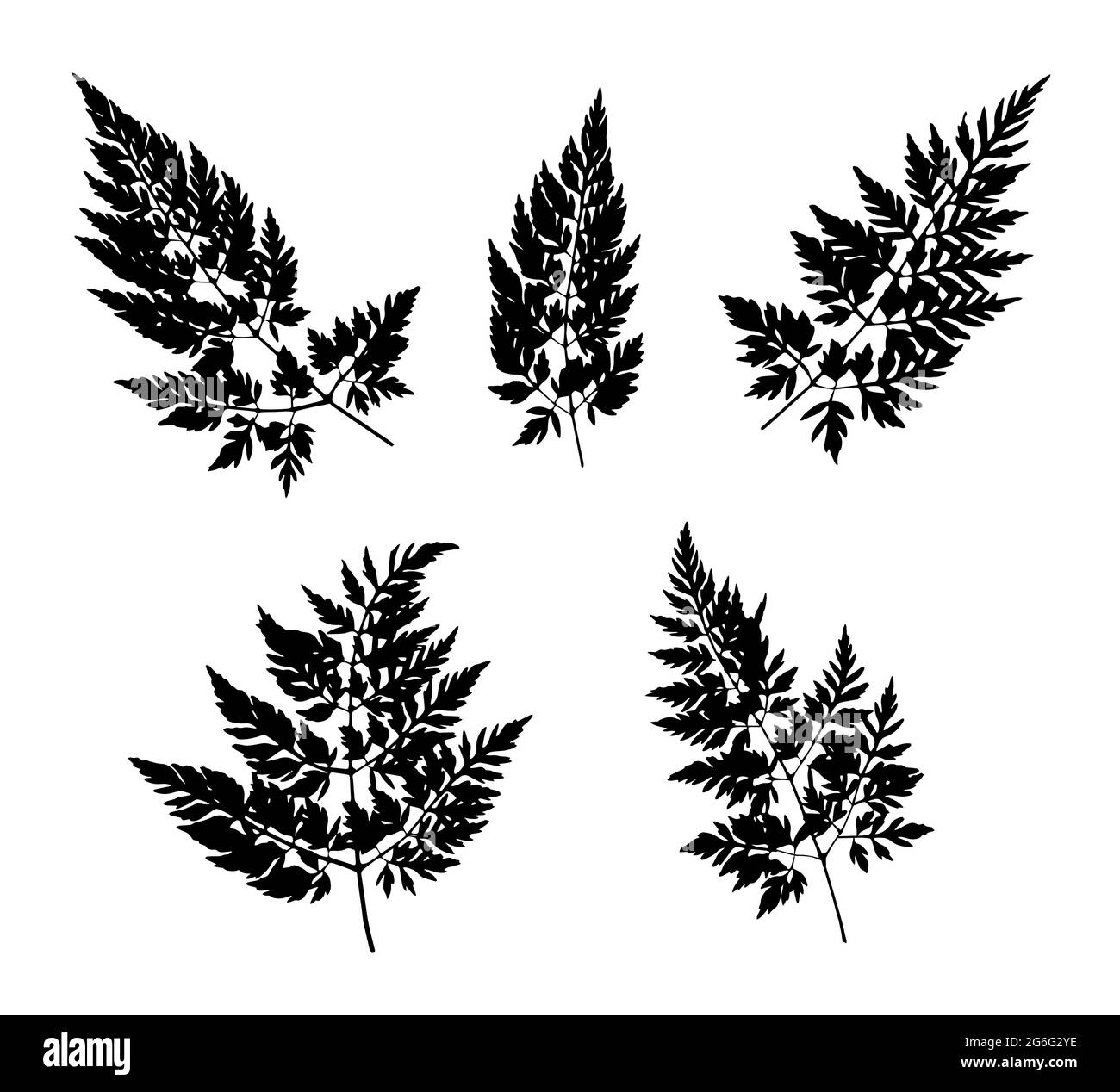 Schwarzes Gras hinterlässt Silhouetten isoliert auf Weiß. Herbst fallen Feld Gras Blätter. Schablonenvektor Stock Vektor