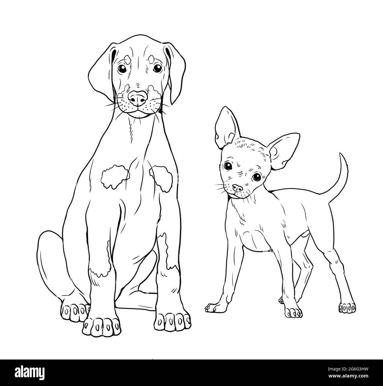 Der Dobermann und der deutsche Pinscher. Niedliche Hunde Welpen. Farbvorlage. Digitale Illustration. Stockfoto