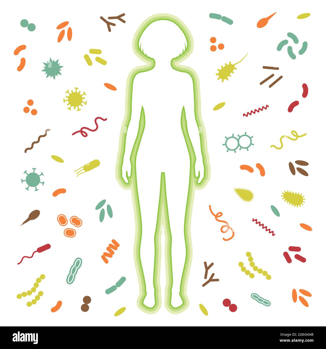 Schutz des menschlichen Immunsystems vor Viren, Bakterieninfektion,  Vektordarstellung Stock-Vektorgrafik - Alamy