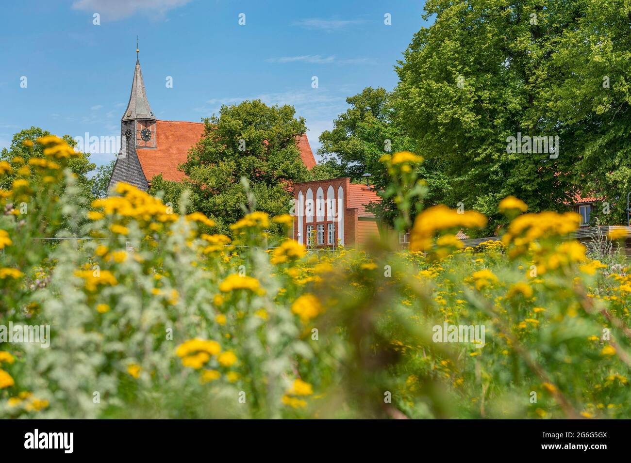 Münster St. Petrus und St. Paulus, Deutschland, Mecklenburg-Vorpommern, Zarrentin Stockfoto