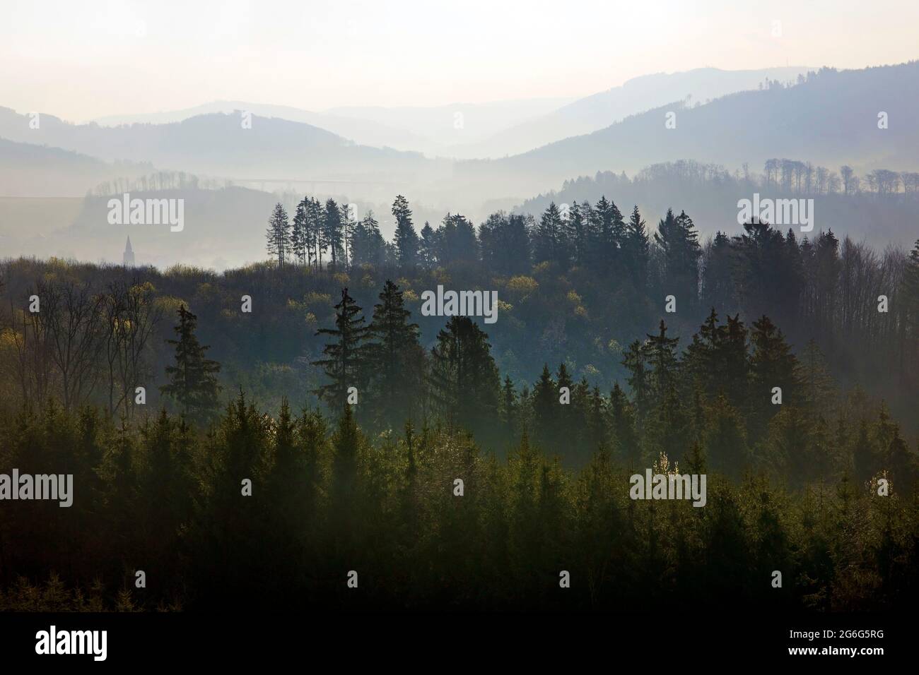 Niedrige Berglandschaft im Morgennebel, Deutschland, Nordrhein-Westfalen, Sauerland, Bestwig Stockfoto