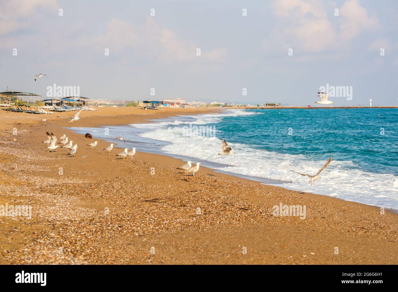 Möwen fliegen, blaues mittelmeer, Strand, Leuchtturm und Himmel im Hintergrund. Stockfoto