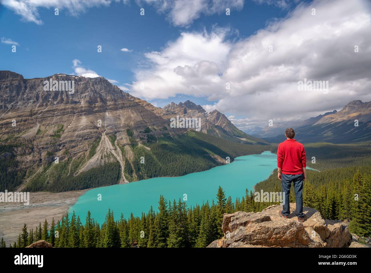 Mann, der den Peyto See auf dem Icefields Parkway im Banff National Park, Alberta, Rocky Mountains, Kanada, betrachtet Stockfoto