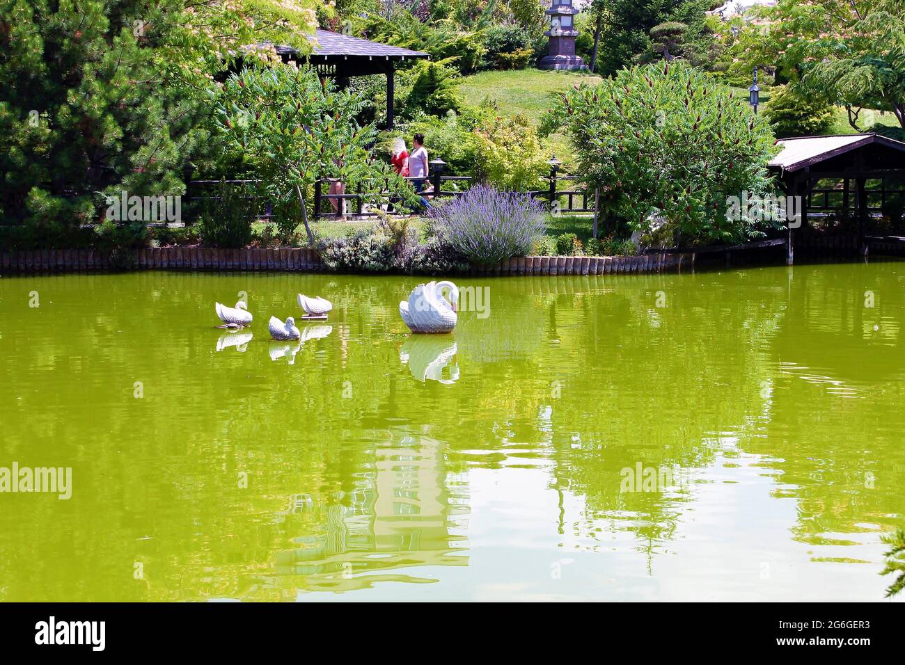 Japanischer Garten und Reflexionen im Pool Stockfoto