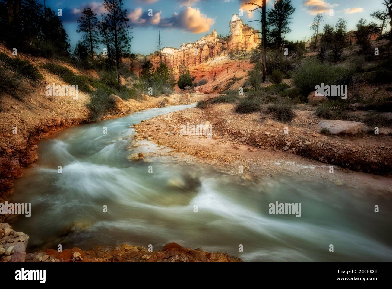 Felsformationen und tropischer Graben. Zion National Park, Utah Stockfoto