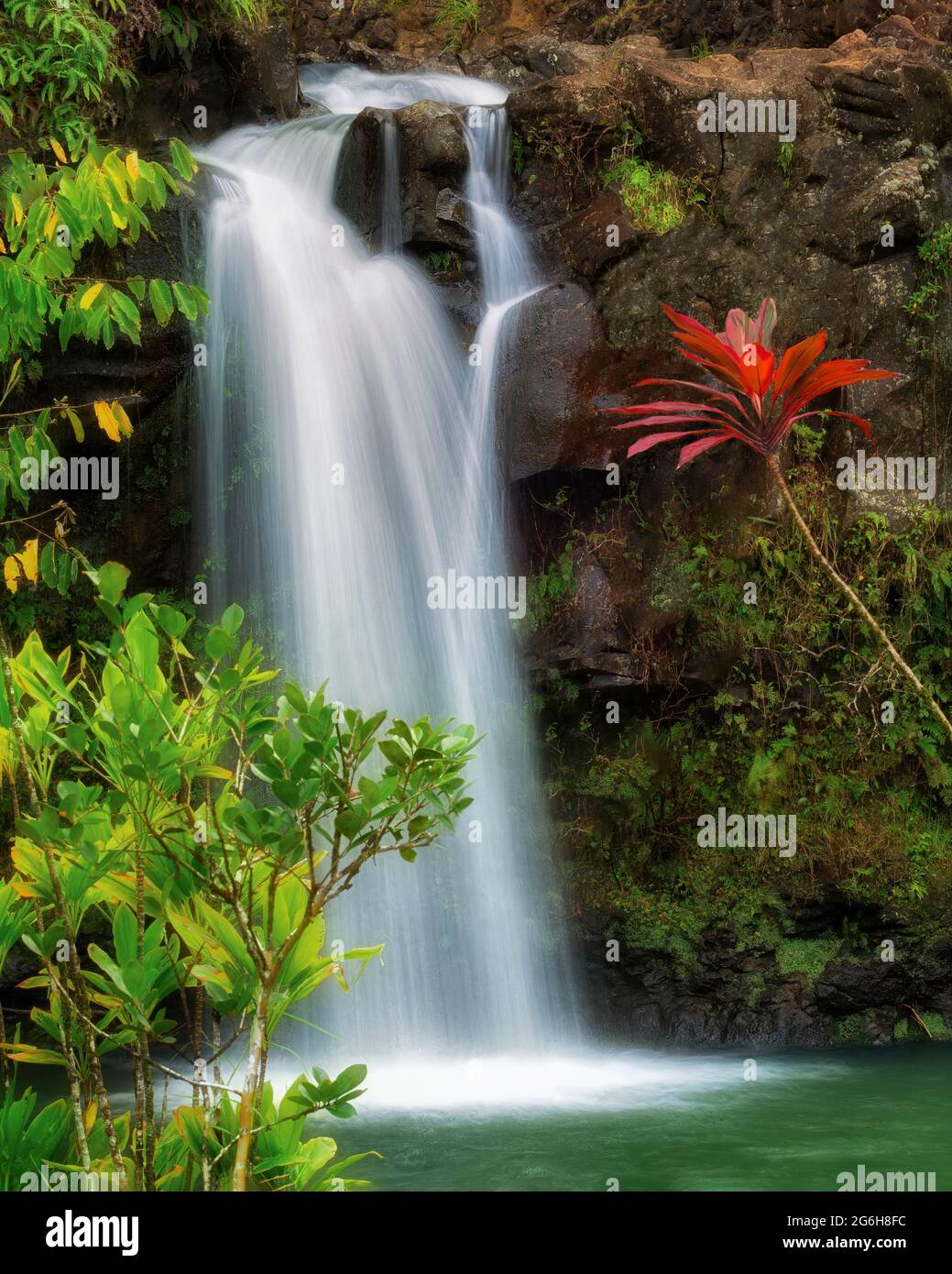 Wasserfälle bei Pua'A'Kaa Zustand Strecke. Maui, Hawaii. Stockfoto