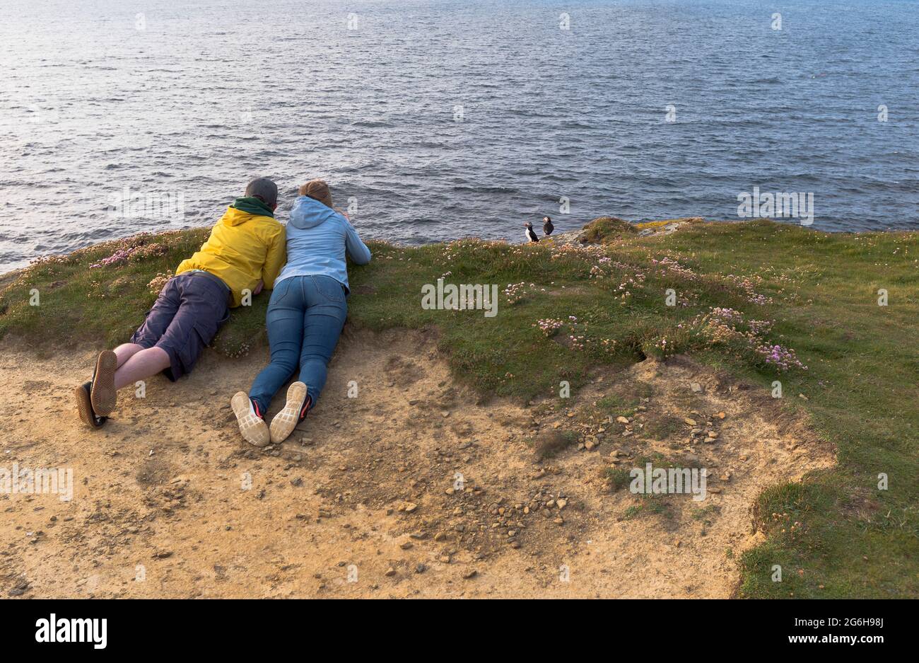 dh Papageientaucher BIRSAY ORKNEY Paar Touristen beobachten Papageientaucher Vögel schottland fratercula arctica Stockfoto