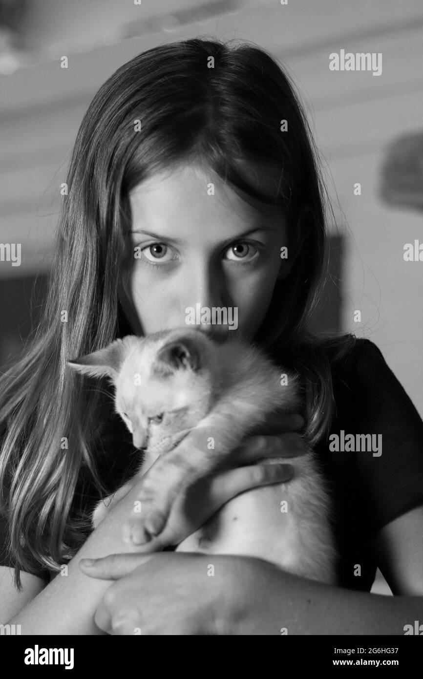 Ein Mädchen, das ihr neues Lynx Point Siam Kätzchen liebt Stockfoto