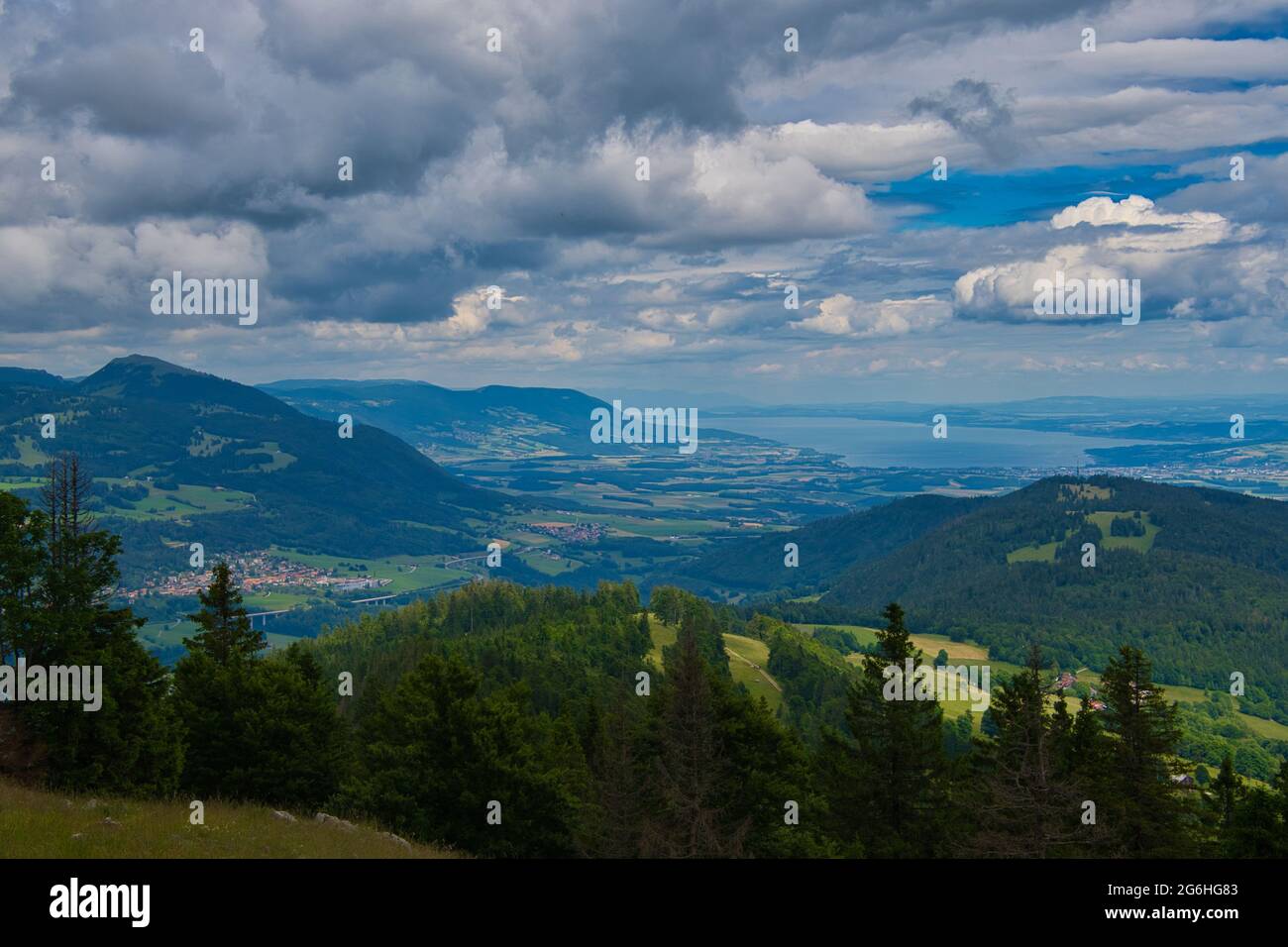 Auf den Höhen des vallée de joux im jura in der schweiz Stockfoto