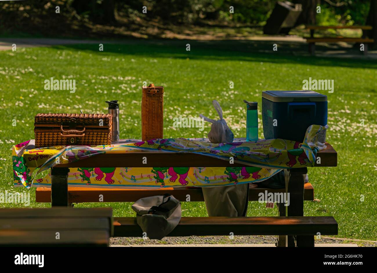 Blick auf den Holztisch mit Kisten und Körben mit Lebensmitteln, die für das Sommerpicknick im Freien in einem Park vorbereitet sind. Harrison Lake, BC, Kanada. April 15,2021. St Stockfoto
