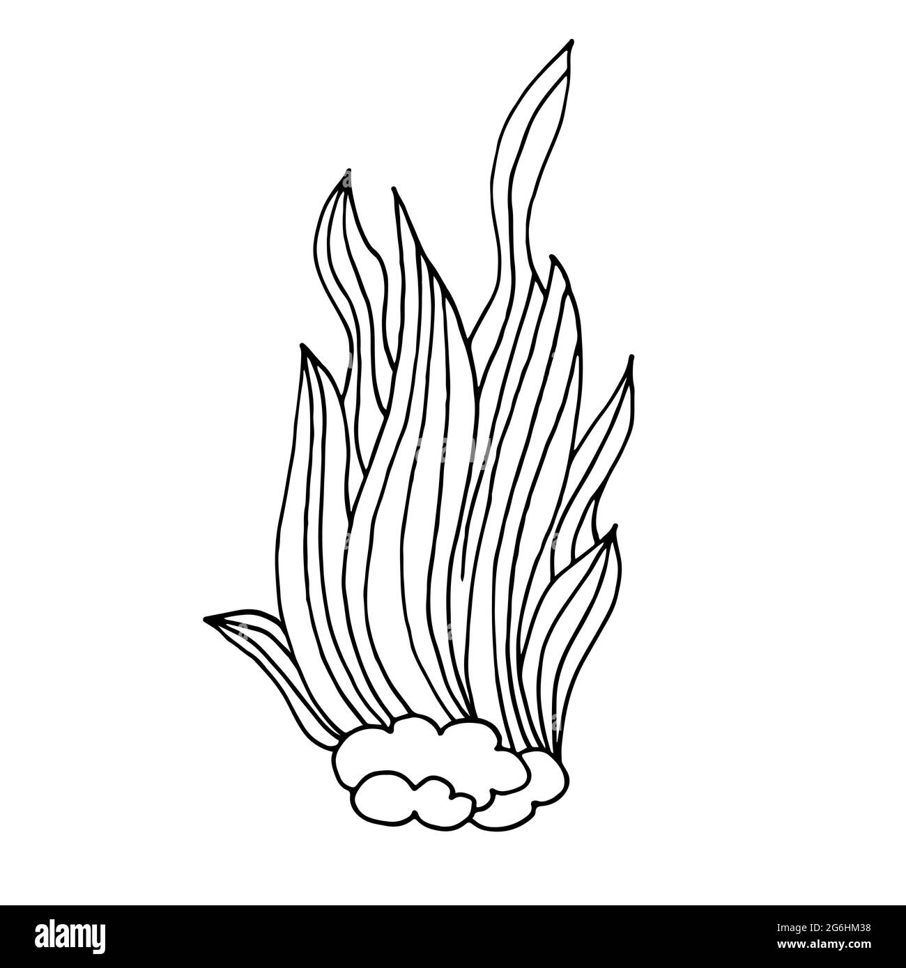 Kontur. Algenbusch. Marine Thema Symbol in Hand zeichnen Stil. Niedliche kindliche Illustration des Meeres Leben. Symbol, Abzeichen, Aufkleber, Aufdruck für Kleidung Stock Vektor