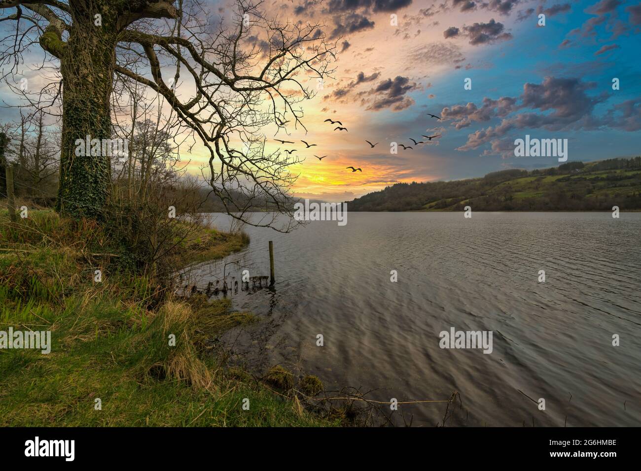 Glencar Lake, County Leitrim, Irland Stockfoto