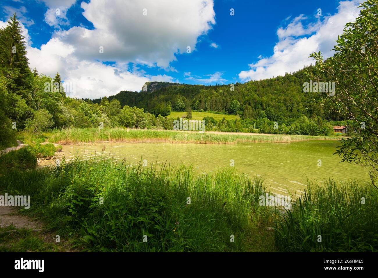 Lac Brenet im Jura-Gebiet der Schweiz Stockfoto