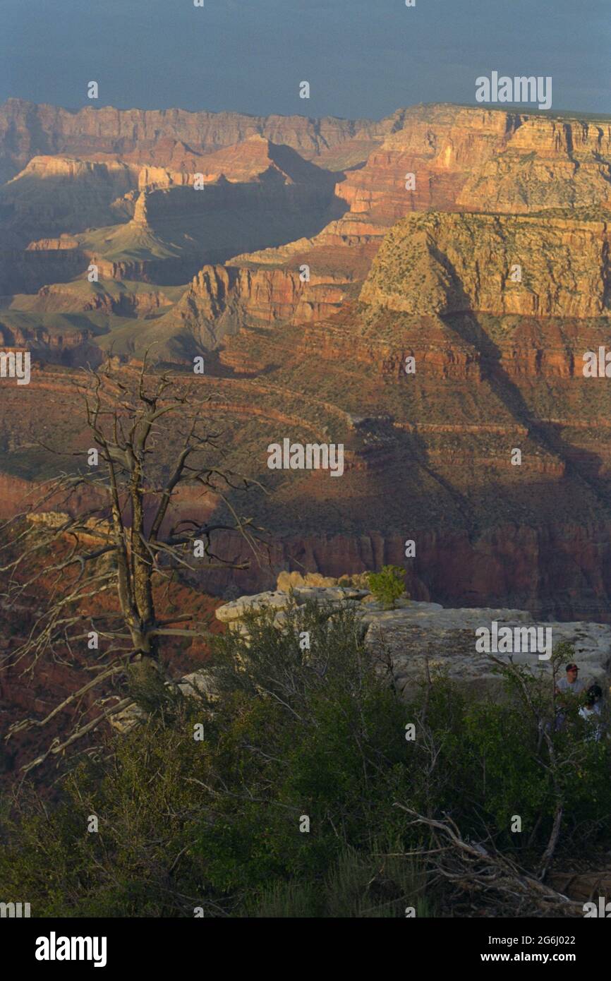 Grand Canyon Sonnenuntergang mit langen Schatten und gelbem Sonnenschein auf Felsen Stockfoto