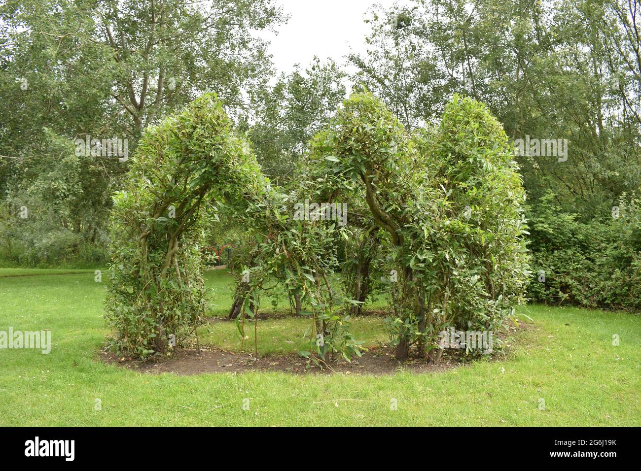 Circle Dance von Clair Wilks. Eine grüne Skulptur einer Gruppe von Menschen, die im Kreis tanzen und die Hände halten. Es wird aus wachsender Weide hergestellt. Stockfoto