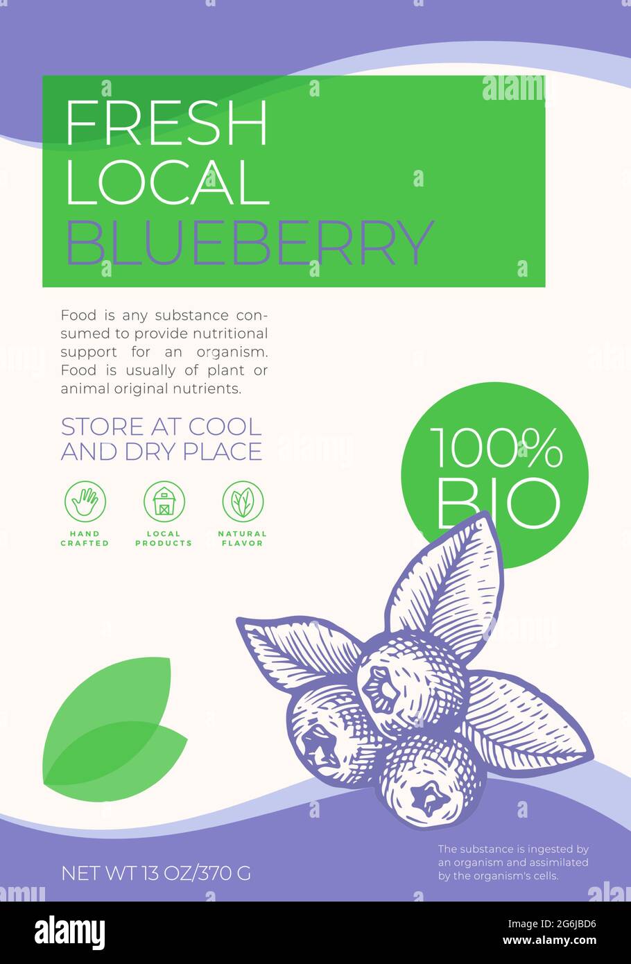 Frische lokale Früchte und Beeren Label Template. Design-Layout Für Abstrakte Vektorverpackungen. Modernes Typografie-Banner mit handgezeichneter Blaubeerskizze Stock Vektor