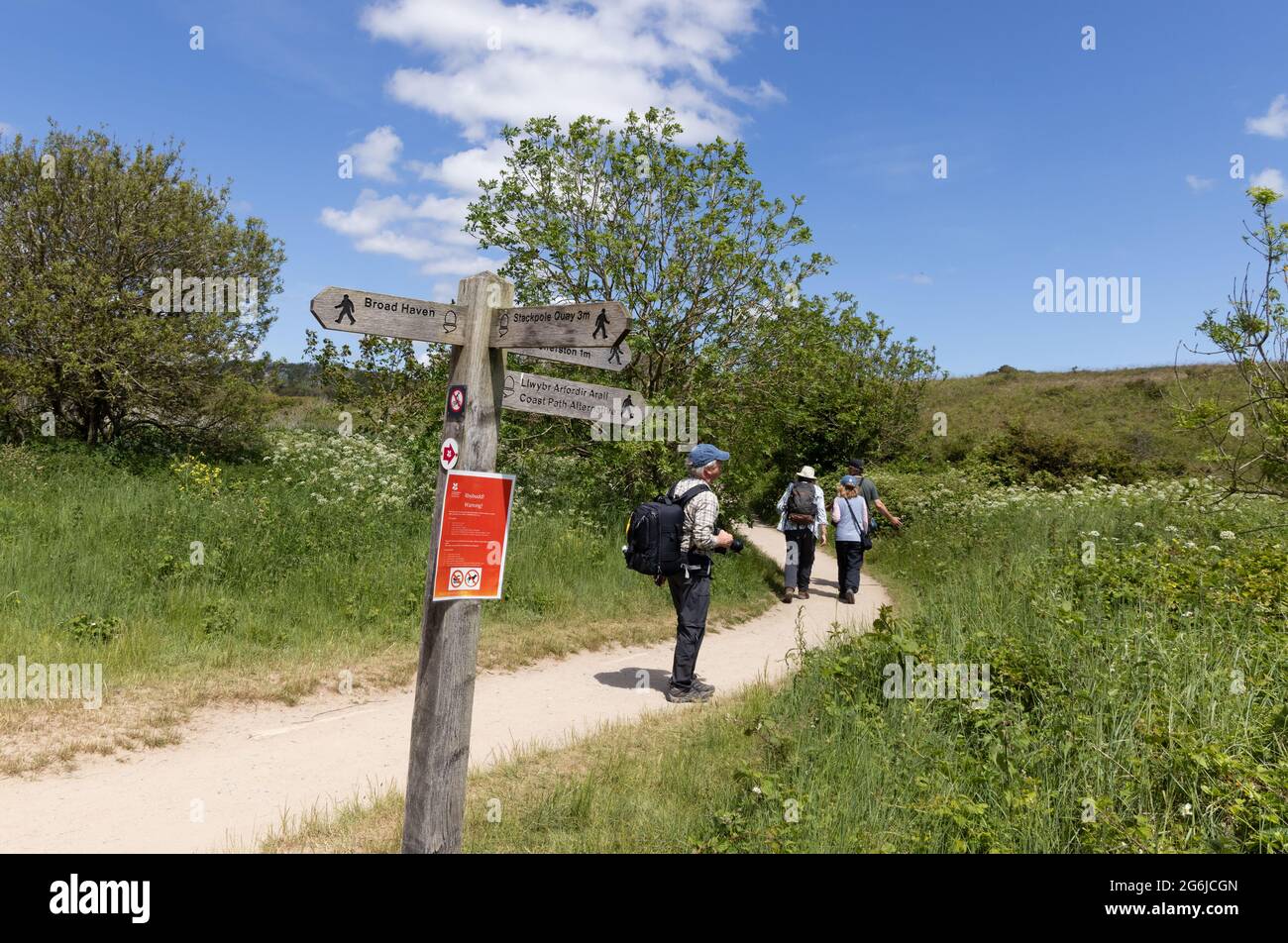 Staycation UK; Wanderwegschild und Spaziergänger, die im Sommer auf dem Stackpole Estate in der walisischen Landschaft spazieren gehen, Pembrokeshire Wales UK Stockfoto