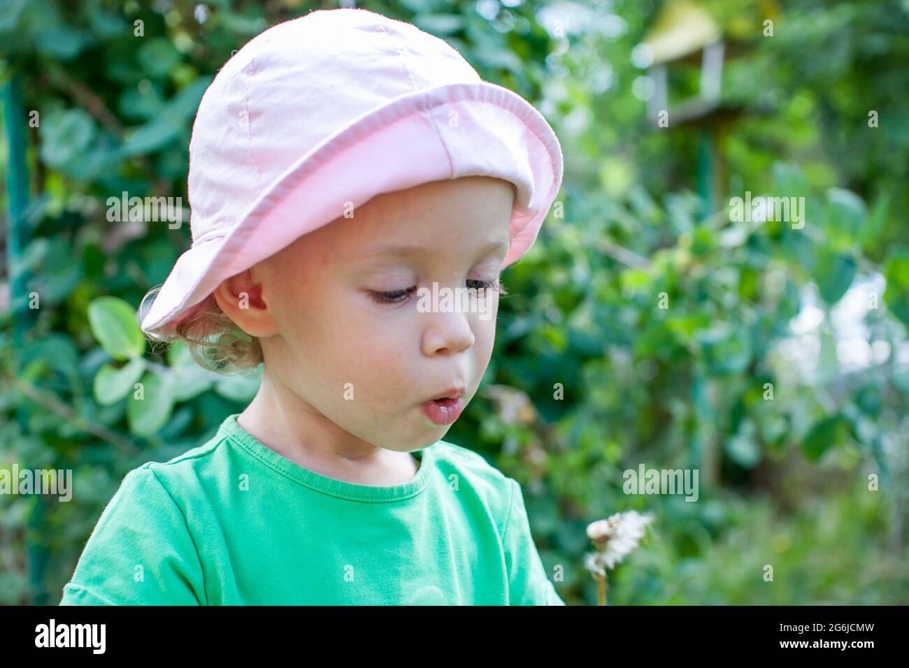 Ein kleines Mädchen in einem grünen T-Shirt und einem rosa panama spaziert im Sommer im Park und bläst den Flaum vom Dandelion Stockfoto