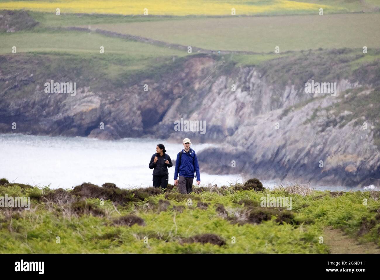 Wales Walking; ein Paar, das in der walisischen Landschaft auf Ramsey Island, Pembrokeshire Wales, Großbritannien, mit dem Festland im Hintergrund, spazieren geht. Stockfoto